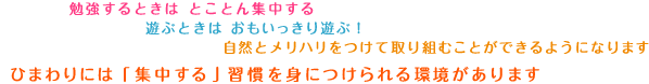 勉強するときはとことん集中する遊ぶときはおもいっきり遊ぶ！自然とメリハリをつけて取り組むことができるようになりますひまわりには「集中する」習慣を身につけられる環境があります