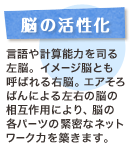 脳の活性化 言語や計算能力を司る左脳。イメージ脳とも呼ばれる右脳。エアそろばんによる左右の脳の相互作用により、脳の各パーツの緊密なネットワーク力を築きます。