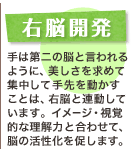 右脳開発 手は第二の脳と言われるように、美しさを求めて集中して手先を動かすことは、右脳と連動しています。イメージ・視覚的な理解力と合わせて、脳の活性化を促します。